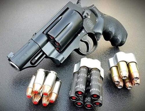 Saddle Holster for Whipper-In