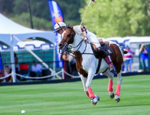 How Many Goals on Handicap Polo