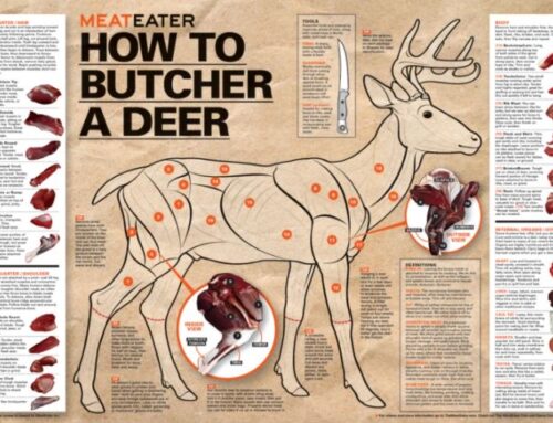 Can You Refreeze Game Meat