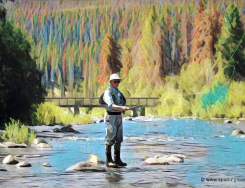 Nymph Fishing with the Master Rim Chung – An Interview