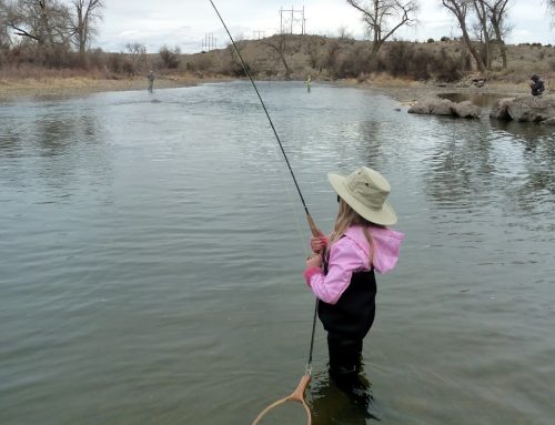 Fishing Bozeman, Montana