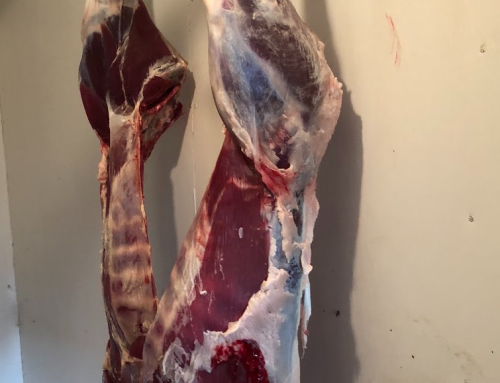 Gambrel Method of Butchering Big Game