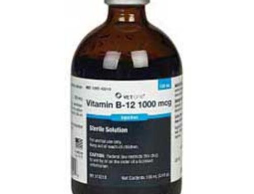 Vitamin B Complex: Essential for Equine Health