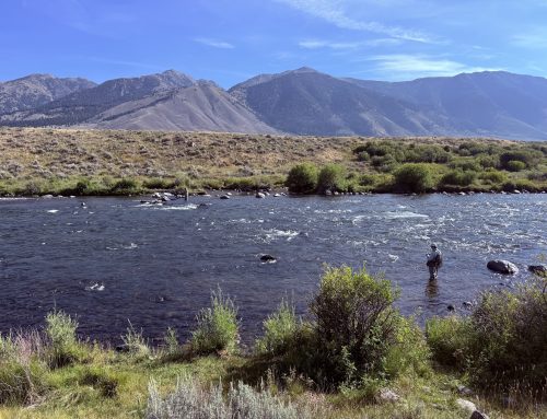 Fishing for a Living