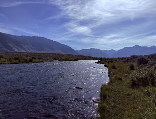 Fishing Bozeman, Montana