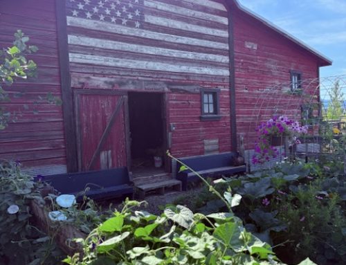 Montana Farms