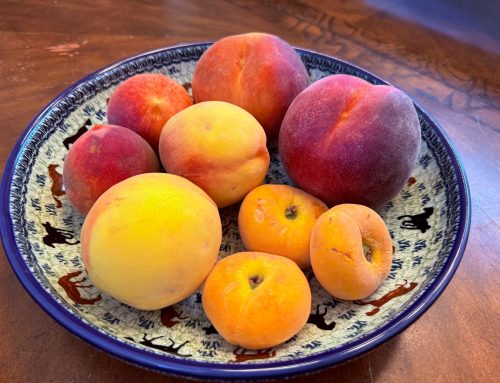 Polish Horse Pottery and Peaches