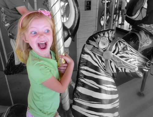 The Carousel of Life