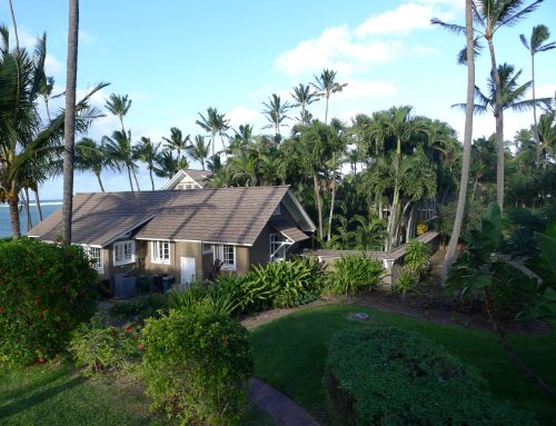 Old Maui: Sugar, Rain and Roads