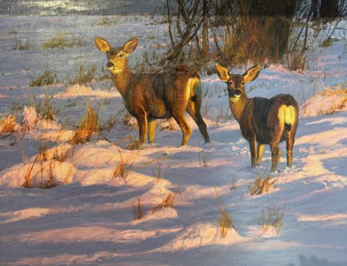 Gambrel Method of Butchering Big Game