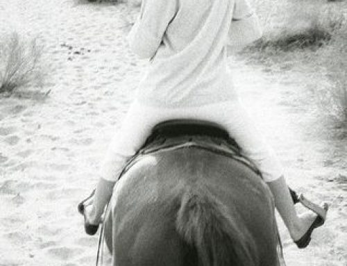 Marilyn on Polo
