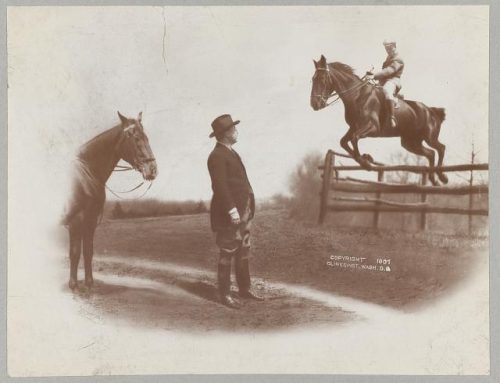 Teddy and Horses