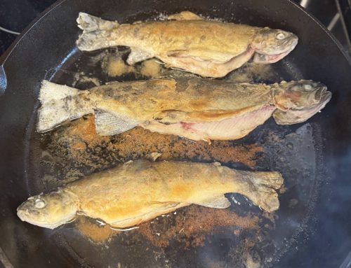 Trout Taste Testing with Two Skillets